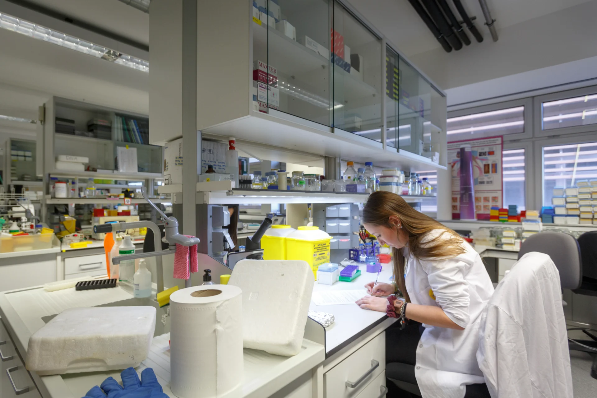 L’IRBLleida convoca de nou 6 beques per a fer una estada al centre per a l’estudiantat de 1r de batxillerat