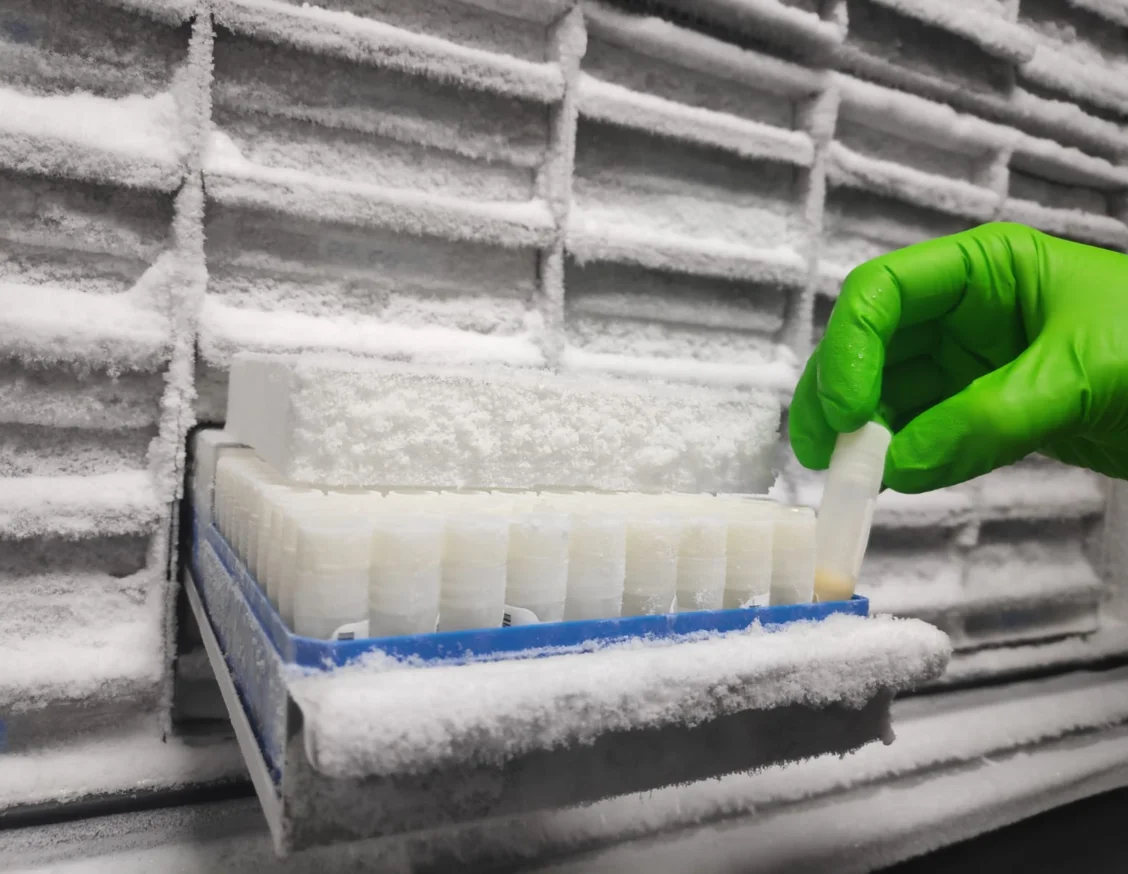 El Biobanco del IRBLleida recoge más de 4.700 muestras de pacientes con COVID-19 de Lleida para cederlas a la investigación