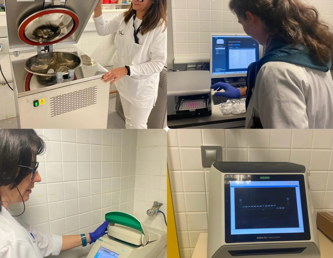 IRBLleida acquires small equipment for research staff thanks to the support of the Diputación de Lleida