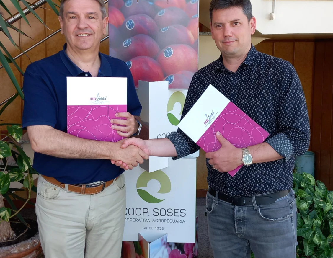 La Cooperativa Agropecuària de Soses renova la seva col·laboració amb l'IRBLleida