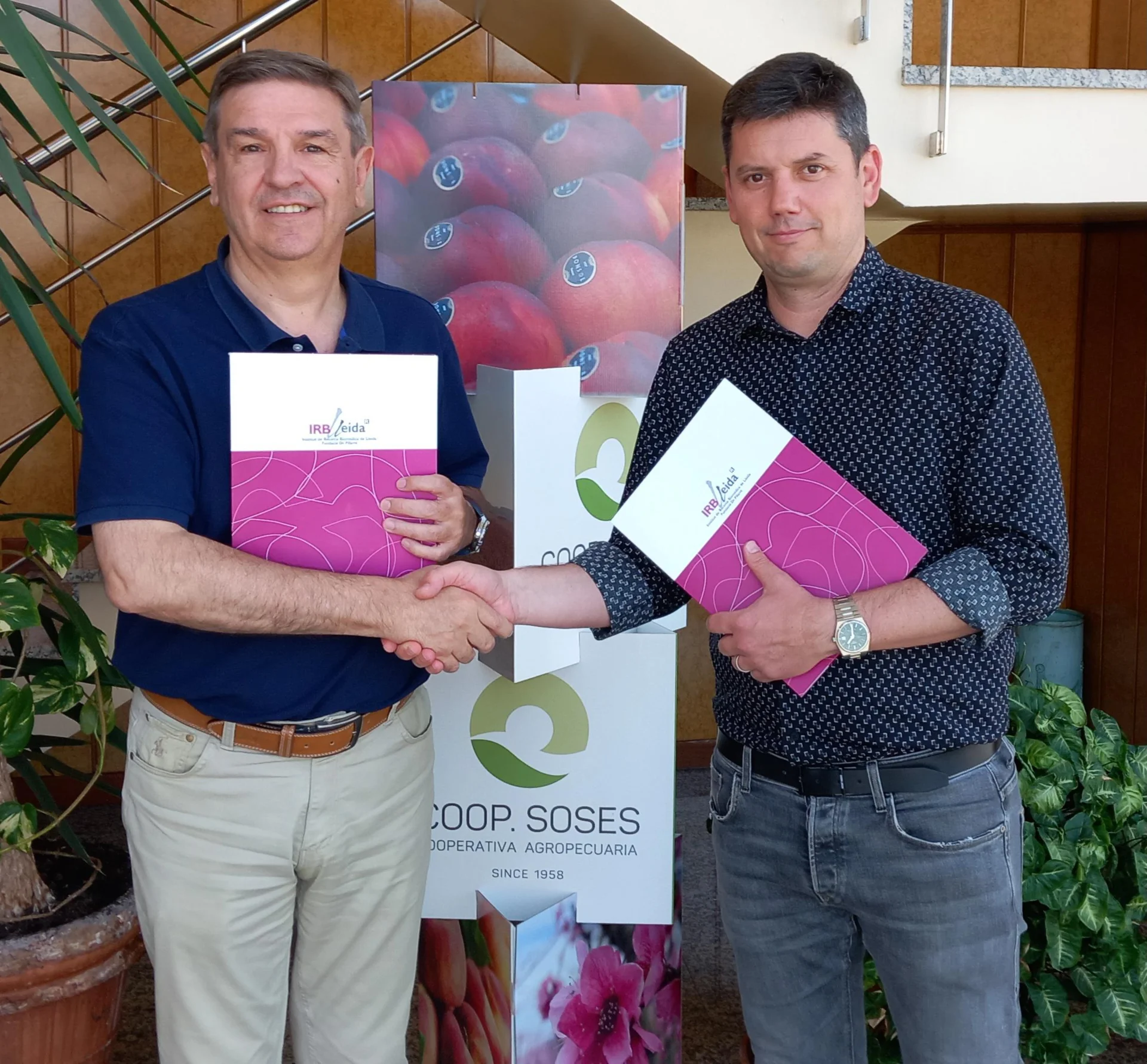 La Cooperativa Agropecuària de Soses renova la seva col·laboració amb l'IRBLleida