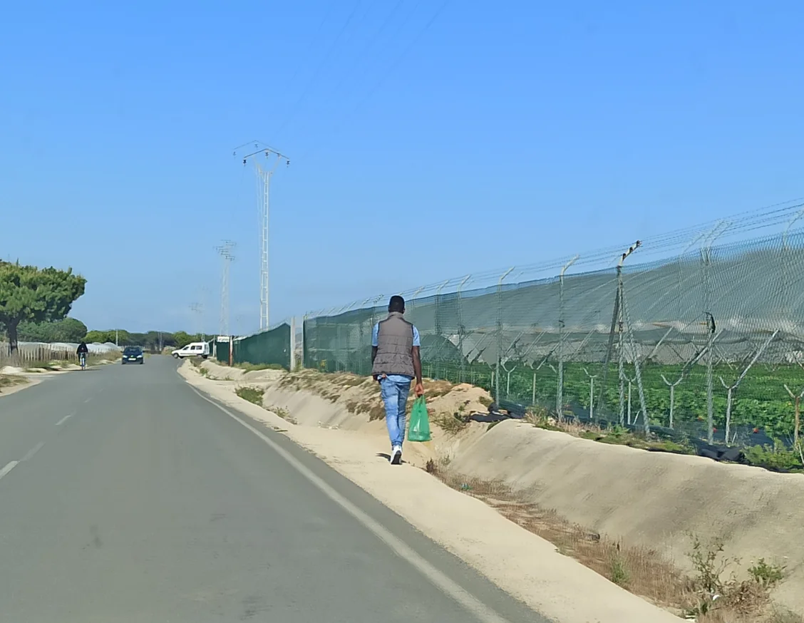 Los trabajadores agrícolas migrantes sufren problemas de salud y barreras de acceso a los servicios sanitarios