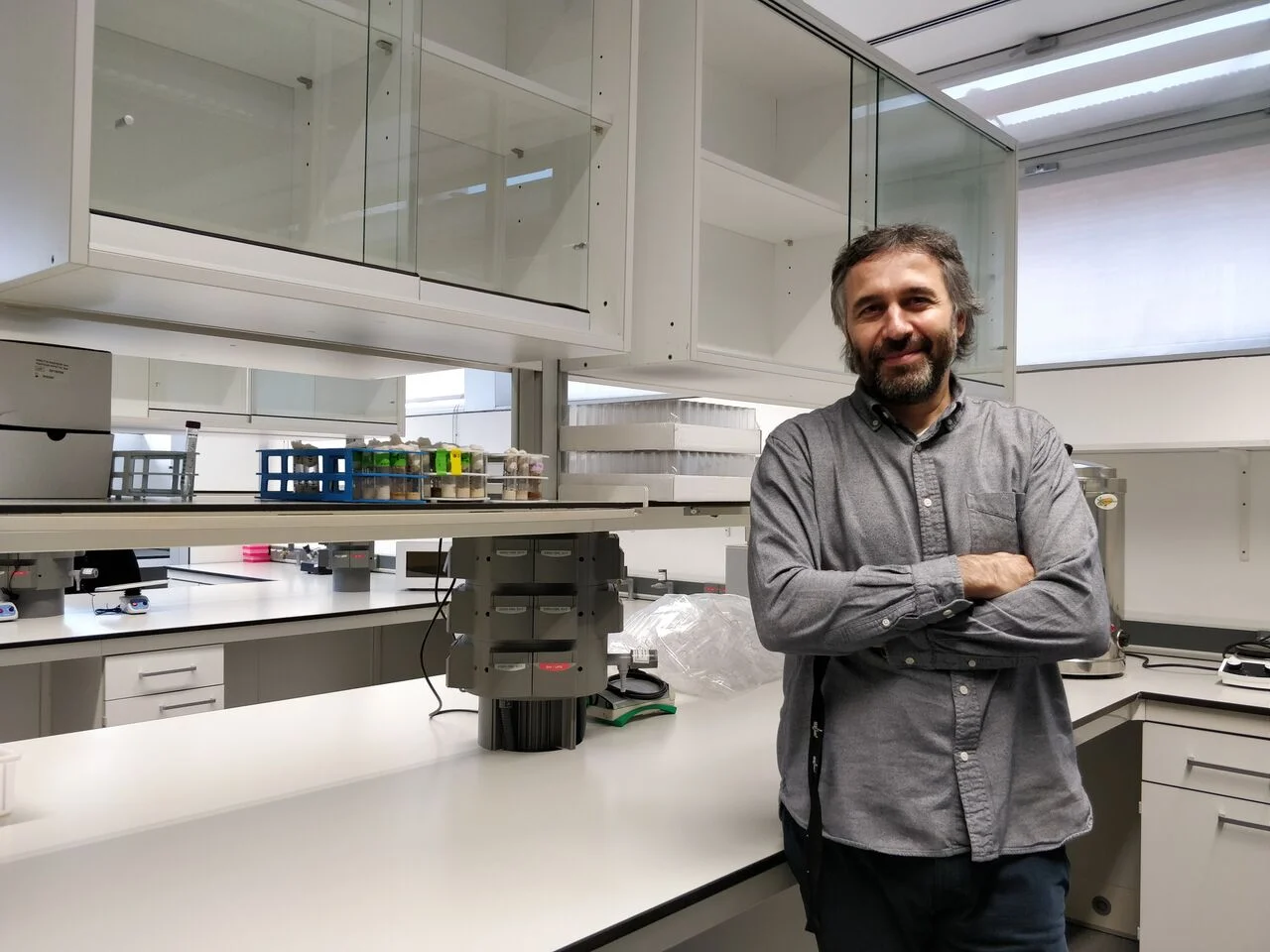 Researchers from IRBLleida describe the first model of adult metastasis developed in the fruit fly