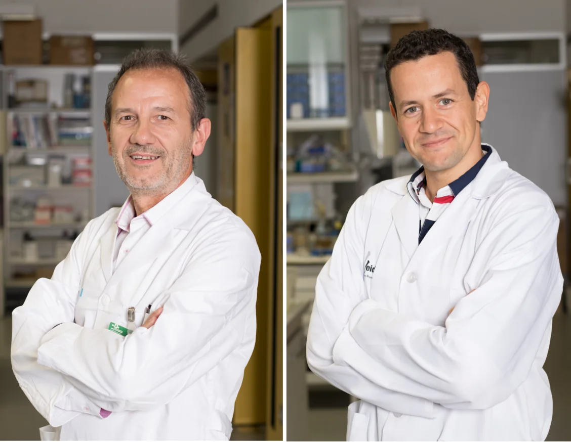 Un estudio leridano asocia la apnea obstructiva del sueño con el aumento del riesgo cardiovascular en pacientes sin enfermedad cardíaca previa