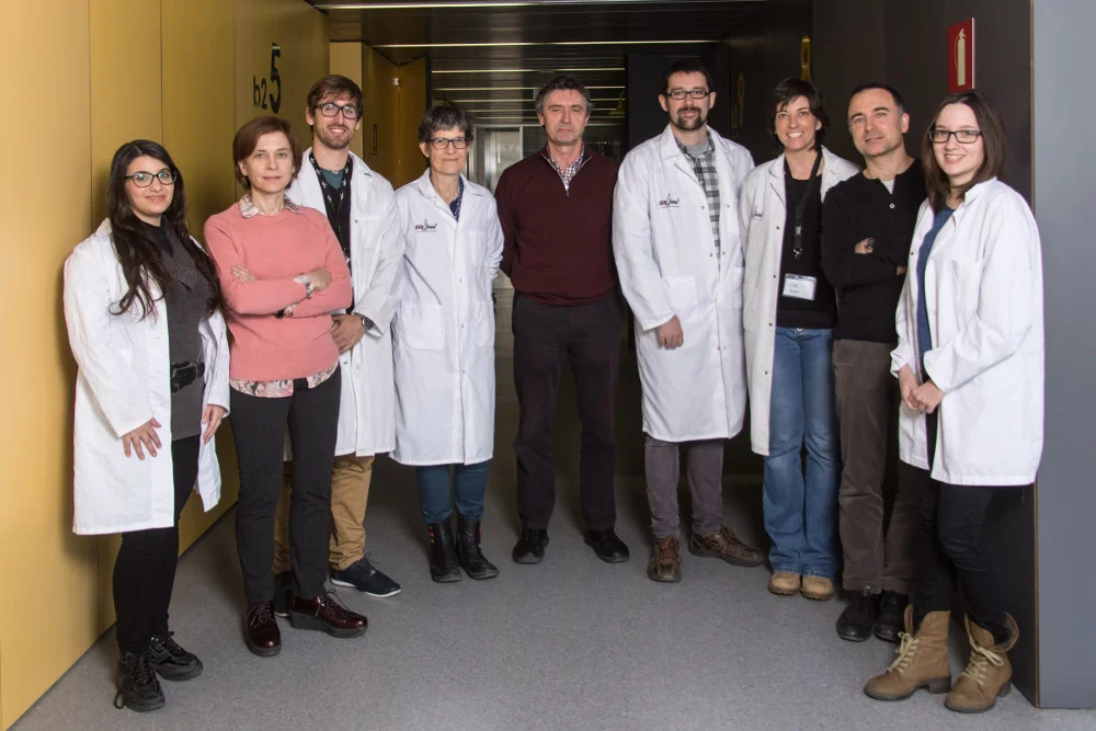 Researchers from Lleida seek new therapeutic strategies in the treatment of Friedreich's ataxia