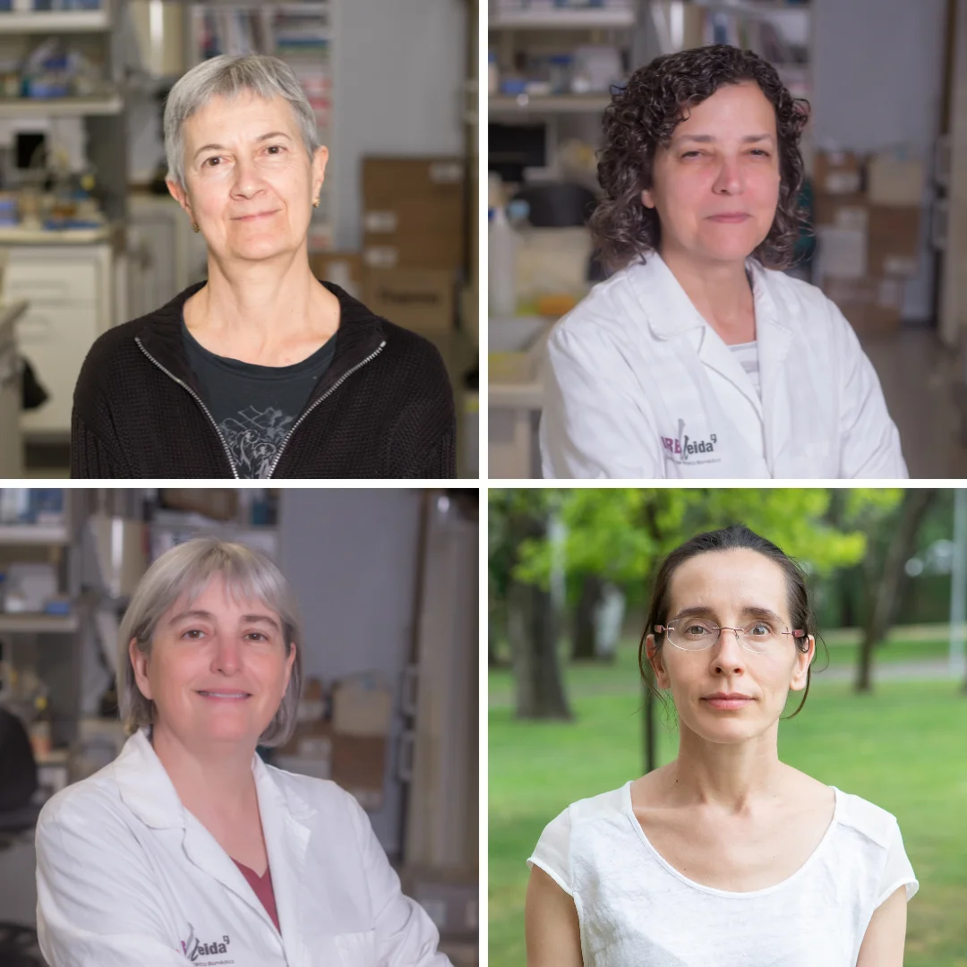 Cuatro investigadoras del IRBLleida, entre las 5.000 mejores del Estado español según el Consejo Superior de Investigaciones Científicas
