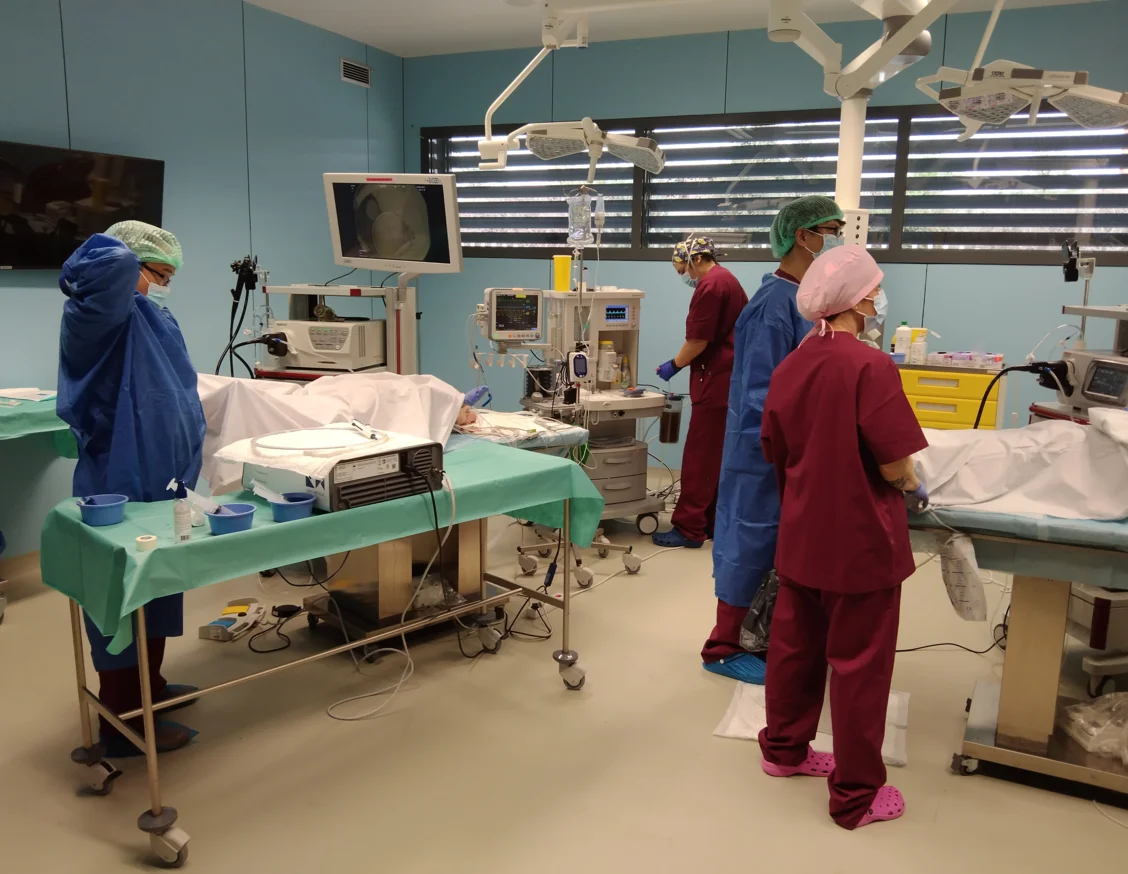 El CREBA acoge un curso internacional para el adiestramiento de profesionales de digestología en una nueva tecnología endoscópica