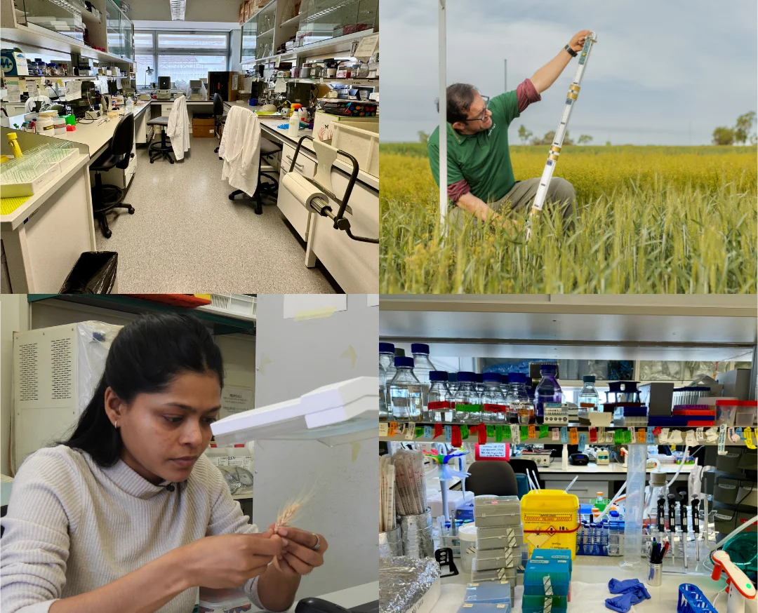 Agrotecnio y el IRBLleida lanzan la segunda convocatoria AgroHealth
