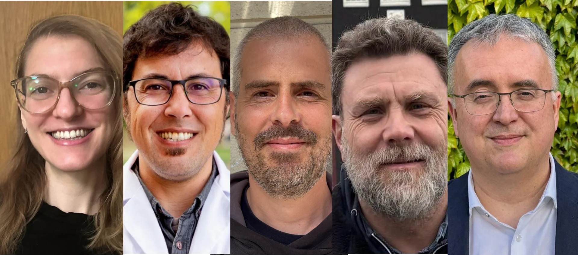 Un estudi amb participació de l'IRBLleida explica per què els pacients majors de 70 anys van ser més vulnerables a la COVID-19 en la primera ona