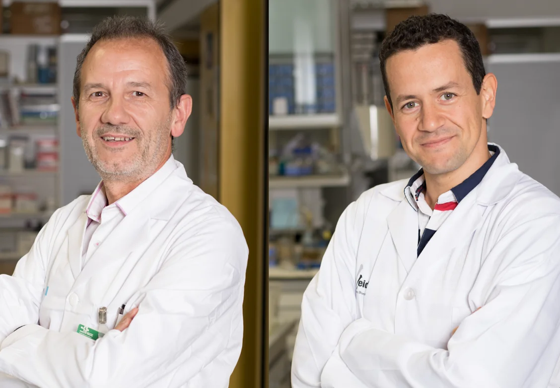 New boost for HIPARCO-score, a personalised medicine tool for resistant hypertension