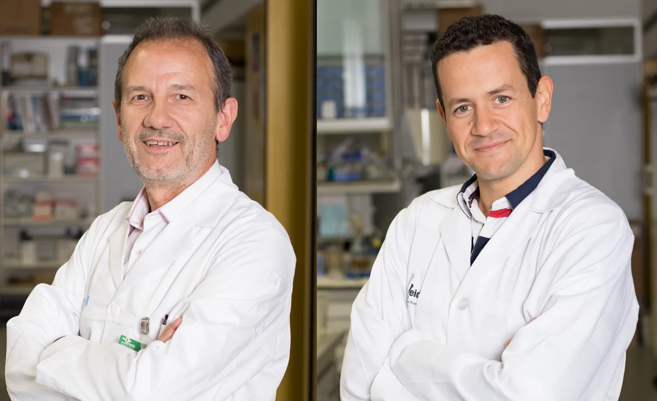 Nou impuls a HIPARCO-score, una eina de medicina personalitzada contra la hipertensió resistent