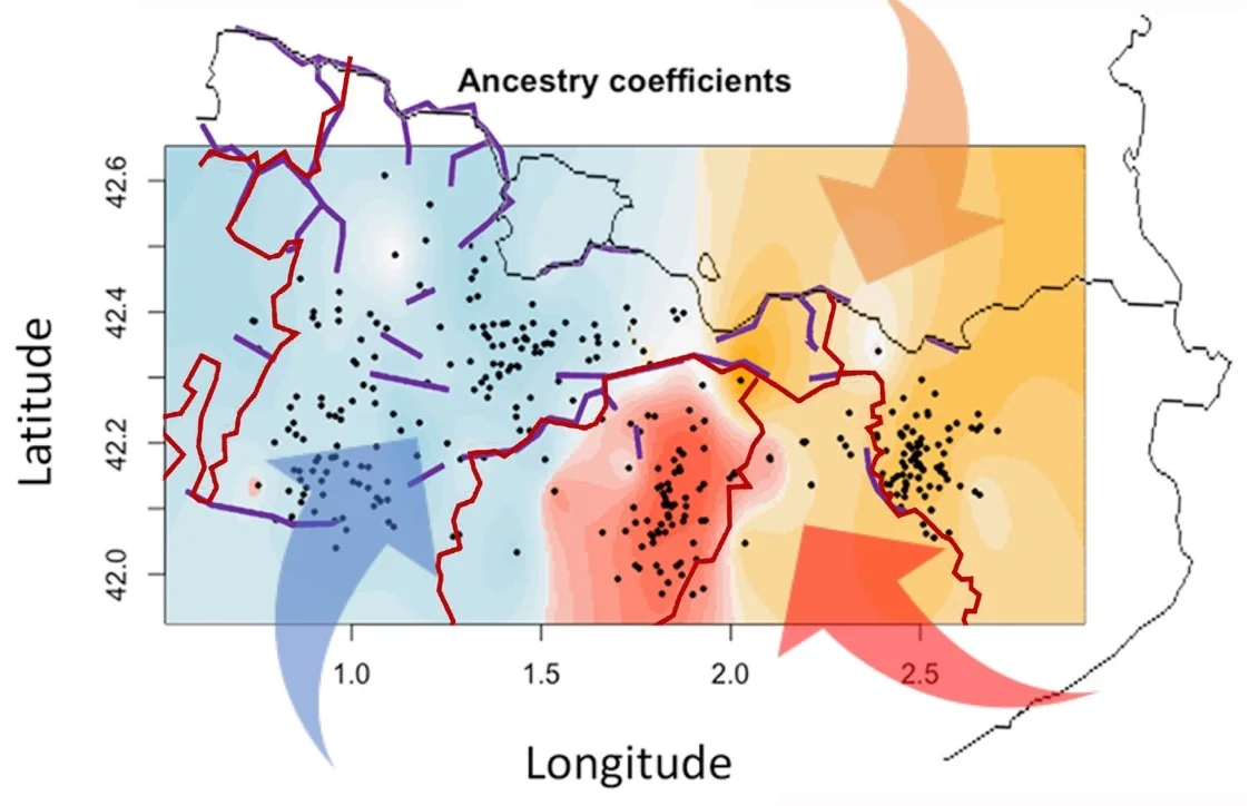 Els límits dels bisbats i l’abrupta orografia de muntanya modelen el perfil genètic de les poblacions rurals del Pirineu català