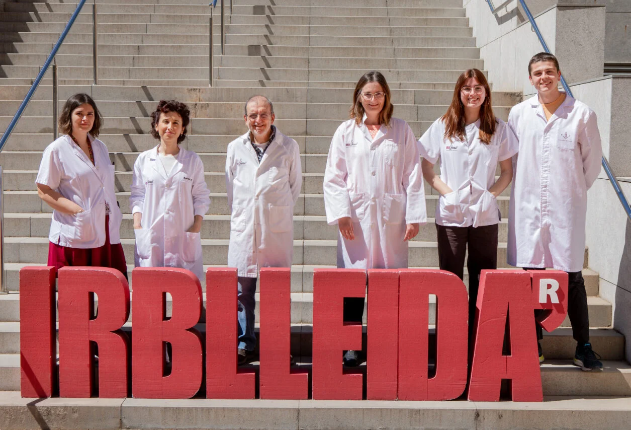 La interacció entre la microbiota i el sistema immunitari influeix en el desenvolupament de la diabetis tipus 1