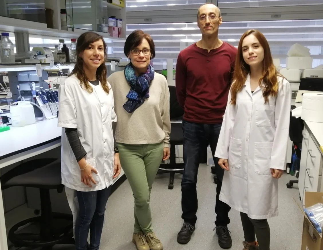 Descubren como actúa un fármaco previamente utilizado para la hipertensión sobre el glioblastoma, un tumor cerebral