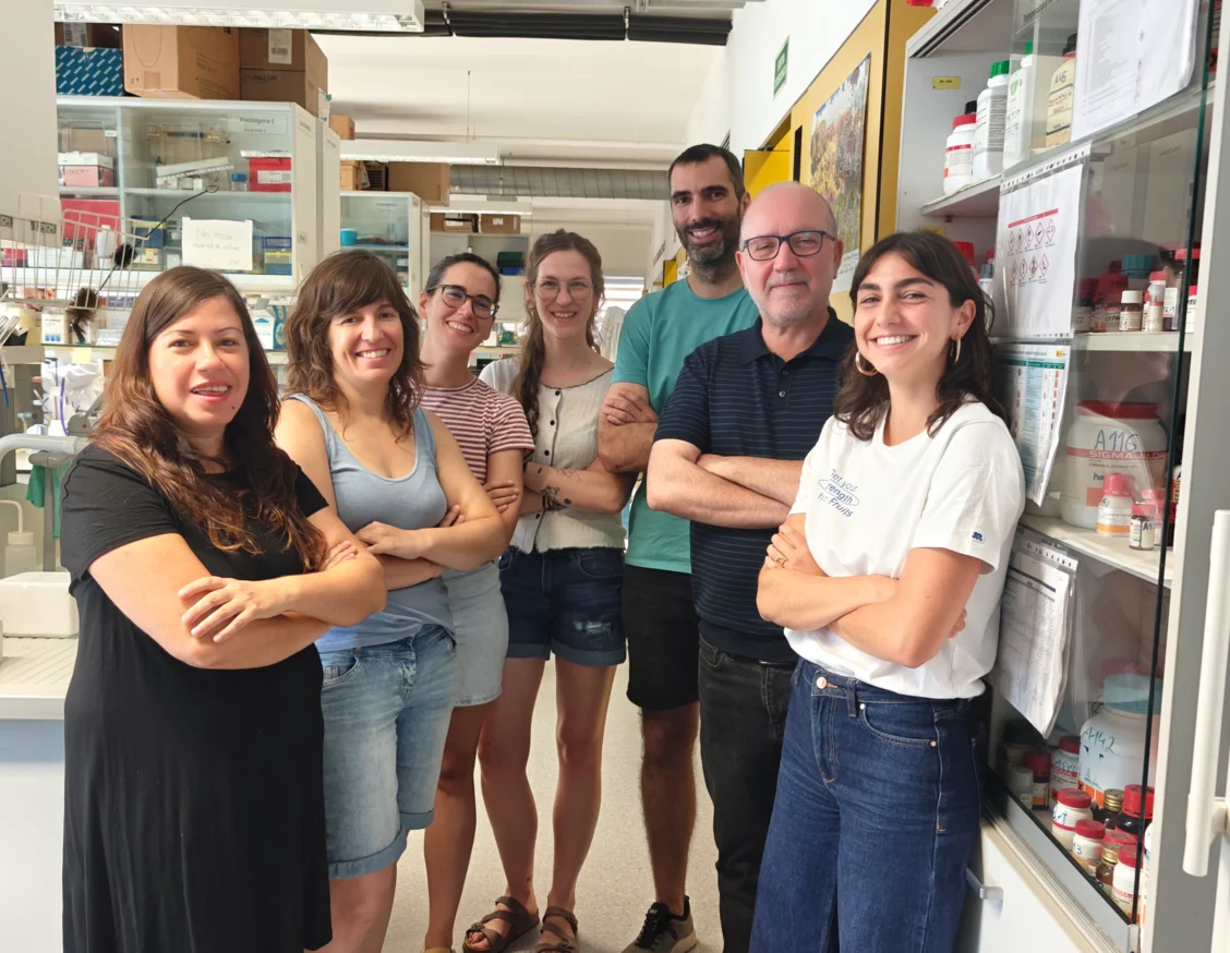 Els canvis lipídics durant l’envelliment segueixen un patró no lineal i condicionat pel sexe