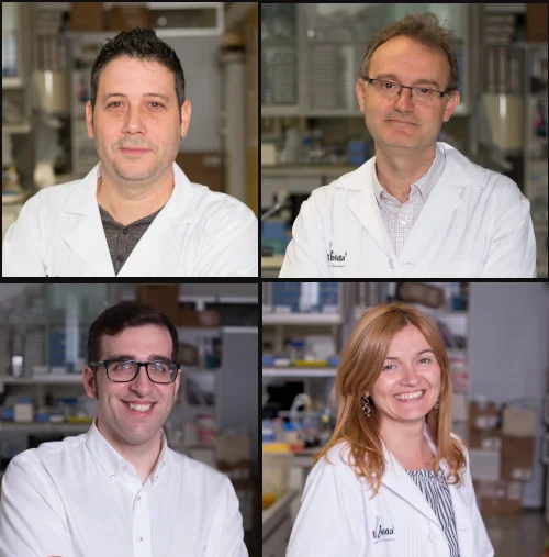 El IRBLleida presenta 4 muestras de interés a la convocatoria de financiación de proyectos de investigación sobre el SARS-COV-2 y la enfermedad COVID-19 del Instituto de Salud Carlos III