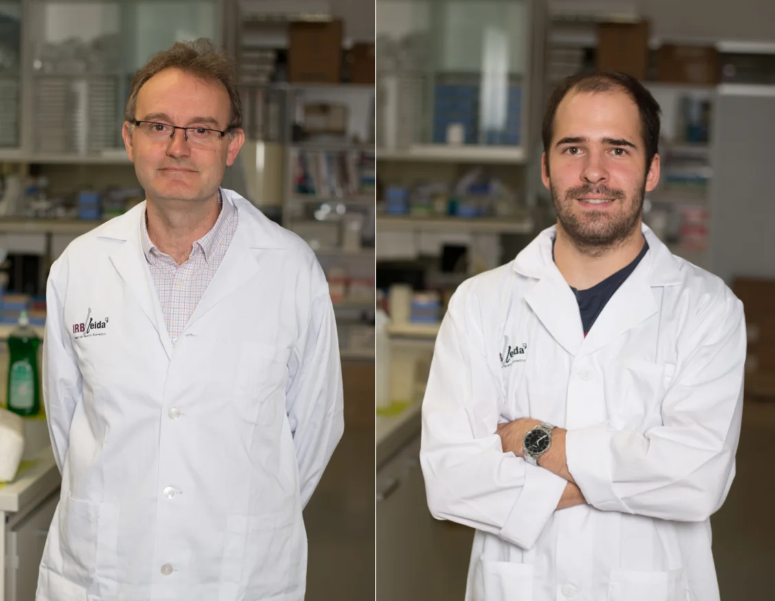 Salud financia un proyecto de investigación de Lleida para identificar potenciales fármacos dirigidos contra una proteína clave para la entrada del virus SARS-CoV2