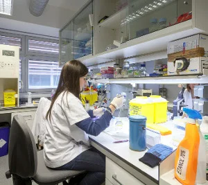 L’IRBLleida organitza dos tallers i una gimcana en el marc de la Nit Europea de la Recerca 2019