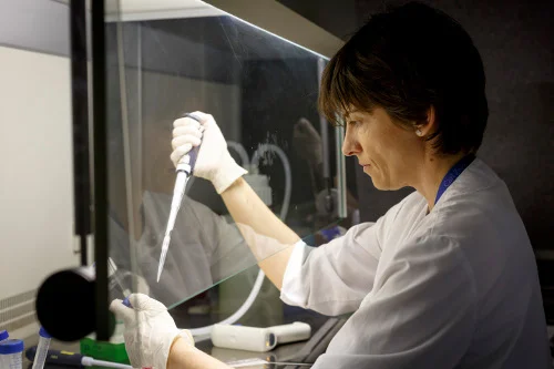 Los Institutos de Investigación Biomédica de Girona, Lleida y Tarragona finalizan el proyecto GO_HERO para impulsar conjuntamente la internacionalización de la investigación