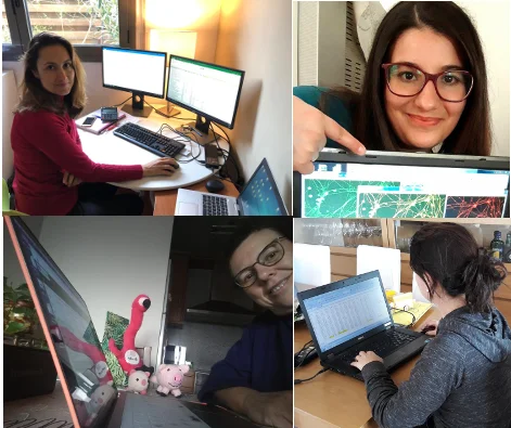 El IRBLleida, teletrabajando desde casa