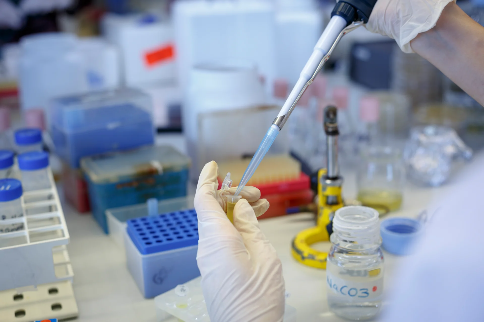 Dos investigadores y una investigadora del IRBLleida, entre los más citados al mundo