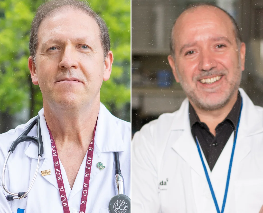 Up to 33 UdL researchers, among the most cited in the world by 2022