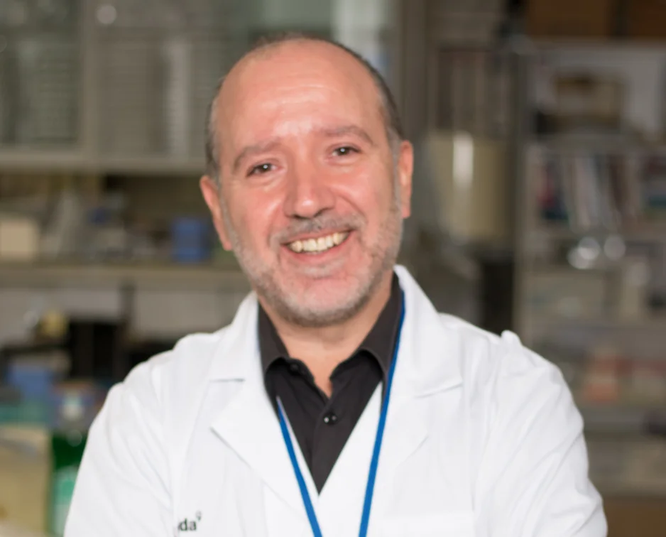 La UdL i l'IRBLleida, en un estudi sobre com afecta l’envelliment al cervell