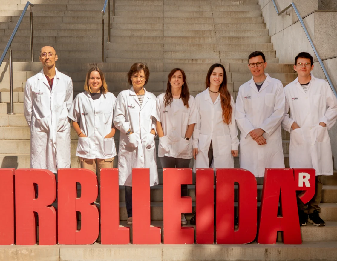 Validan la tecnología del tumor-en-chip para examinar el efecto de un fármaco contra el glioblastoma