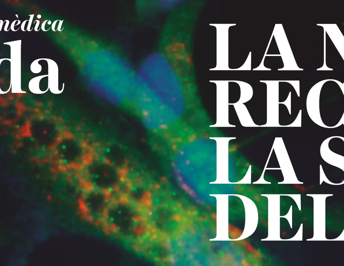 Premio del IRBLleida para el mejor proyecto de investigación científico 2024