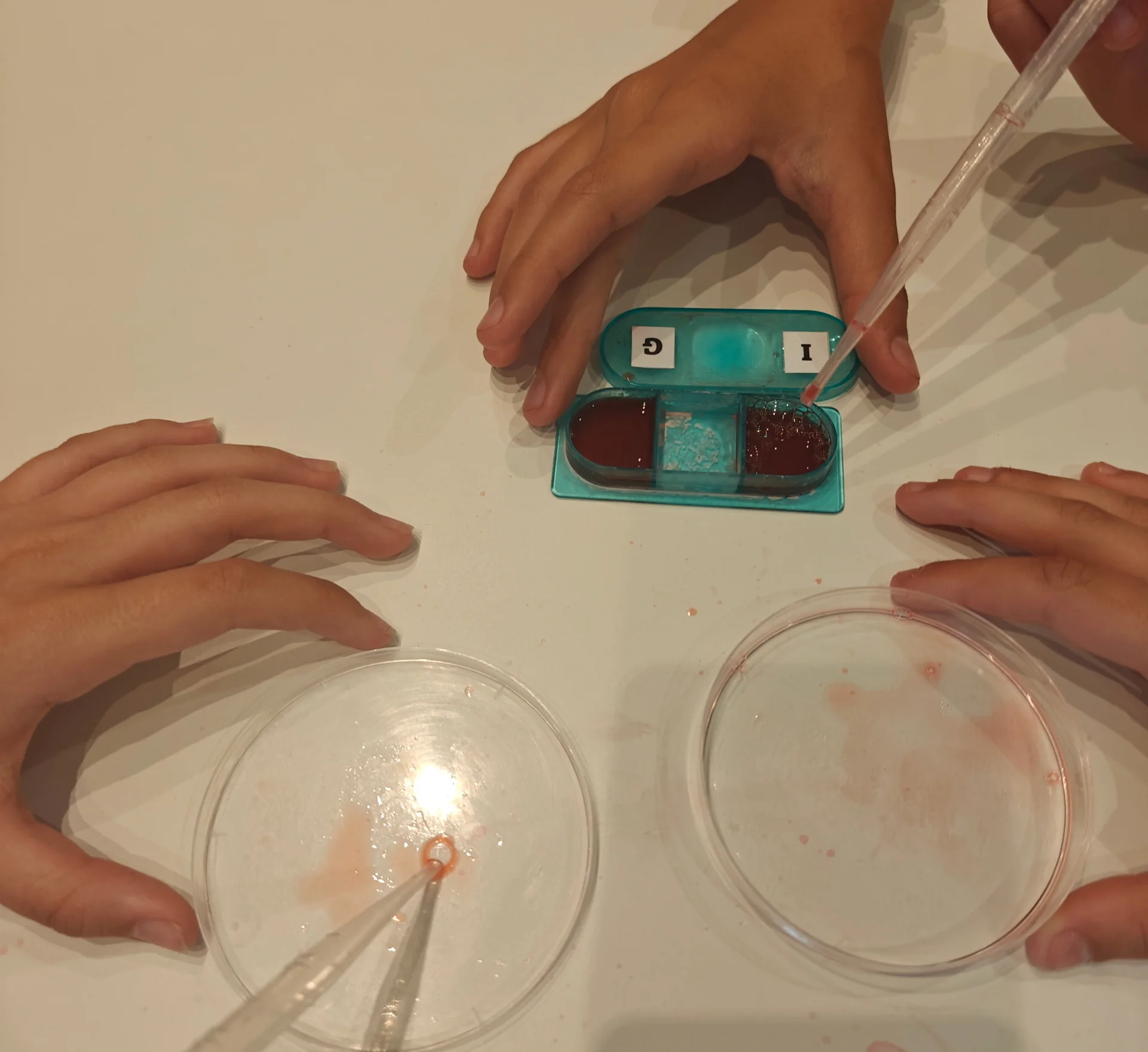 Around 750 secondary school pupils are taking part in a science workshop at IRBLleida during the 2025–2026 academic year