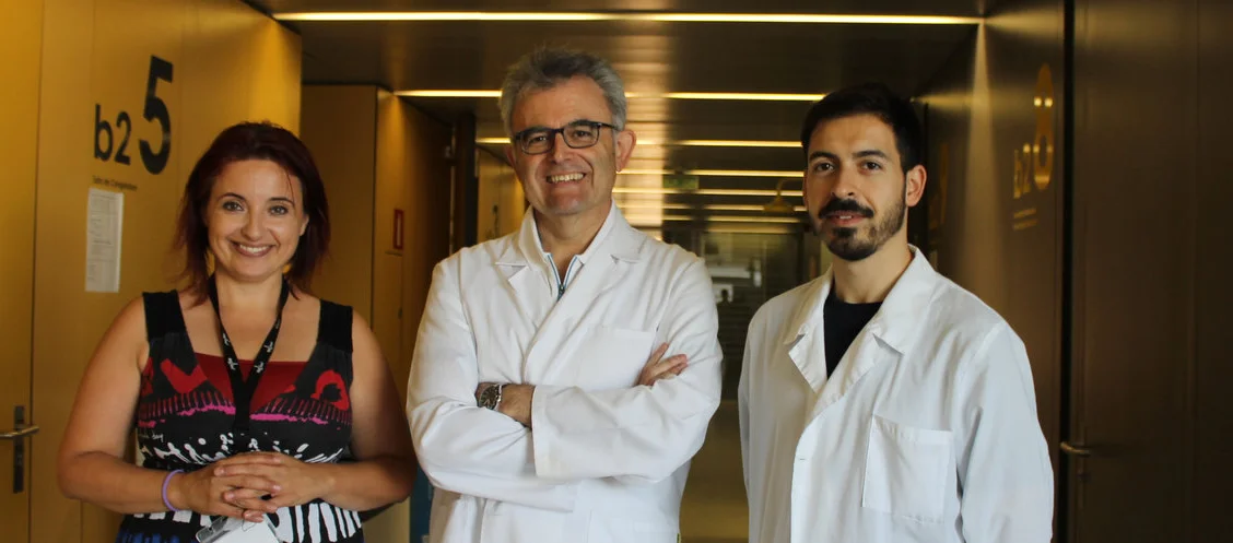 Activan una proteína clave para completar el proceso de muerte por apoptosis en células de glioblastoma