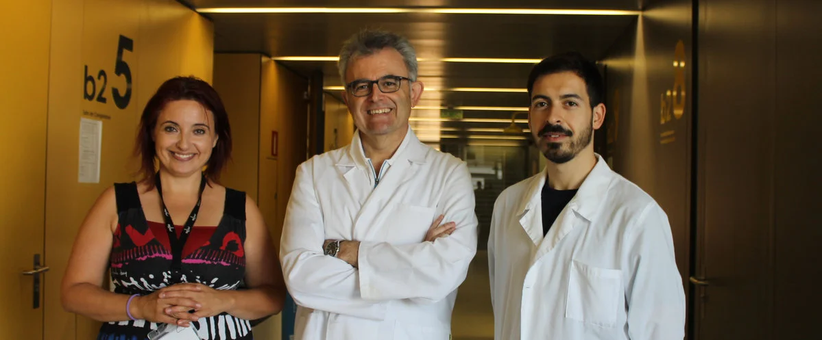 Activan una proteína clave para completar el proceso de muerte por apoptosis en células de glioblastoma