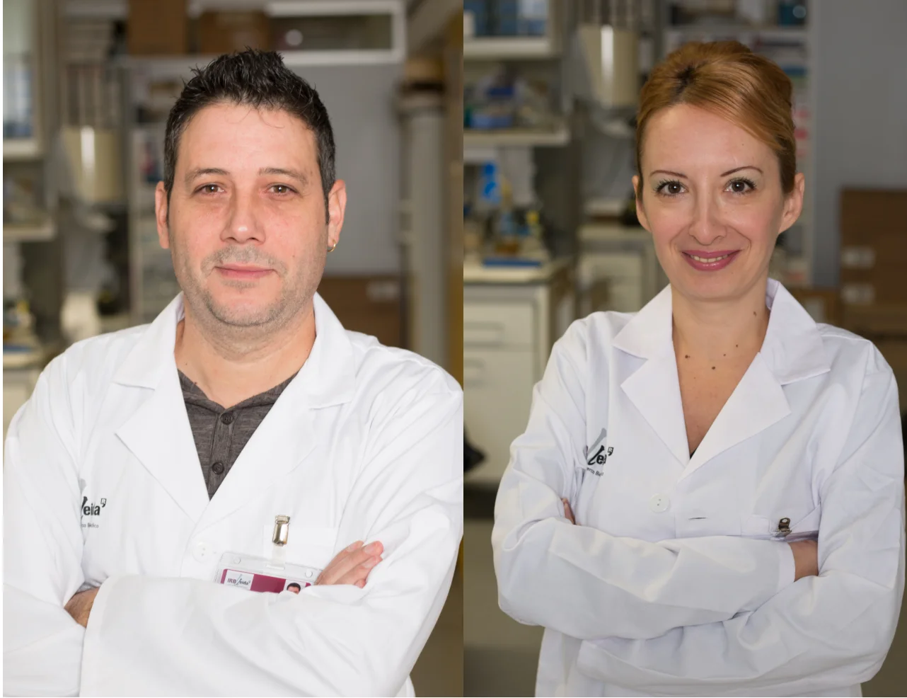 Un estudi lleidatà demostra l’efecte protector d’una proteïna per reduir la progressió de la fibrosi dels ronyons
